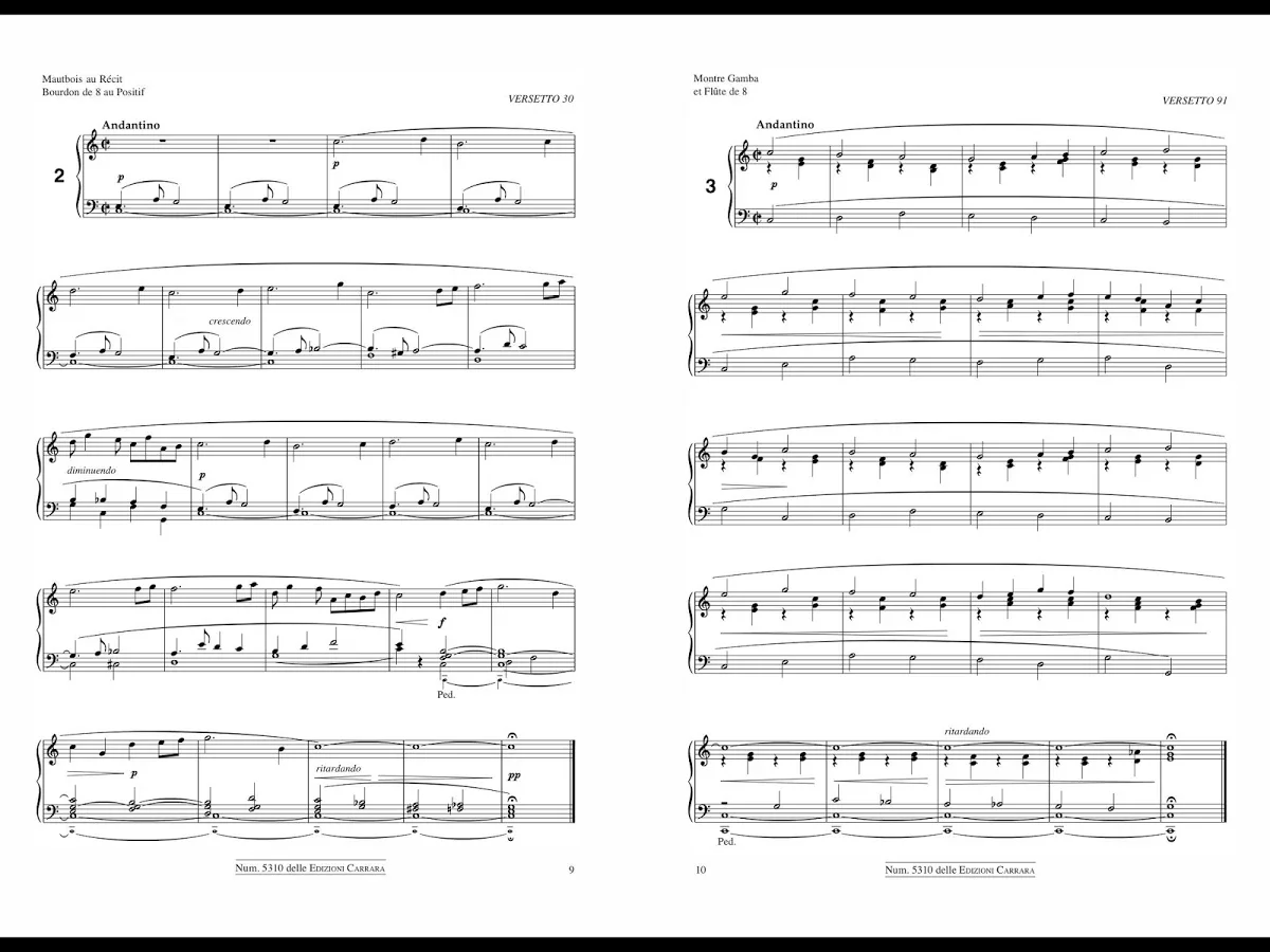 L’ORGANO NELLA LITURGIA截图4