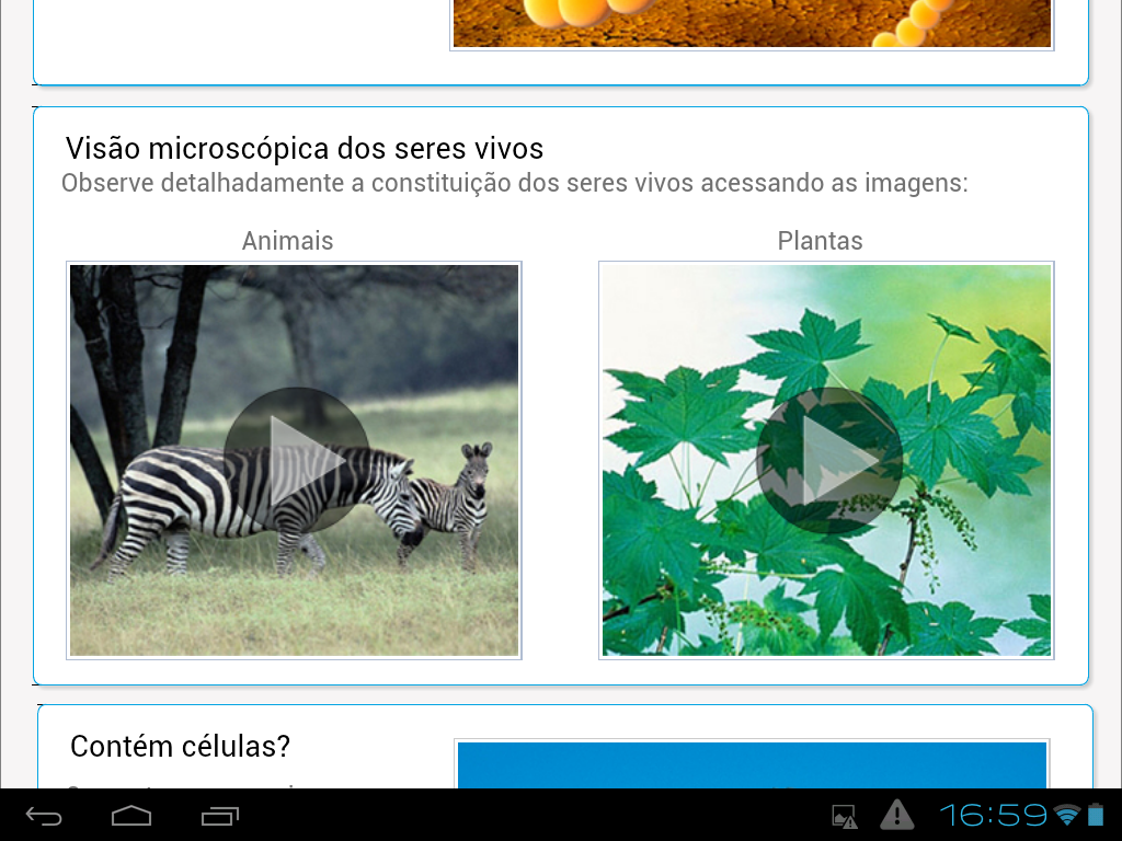 Células animais e vegetais截图2