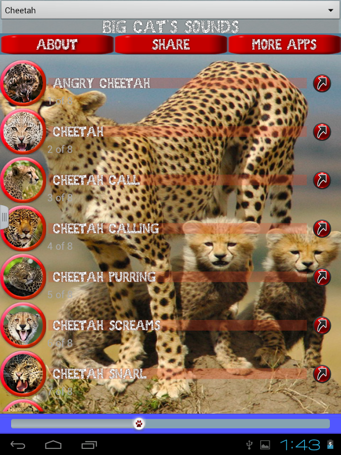 Big Cats Sounds截图4