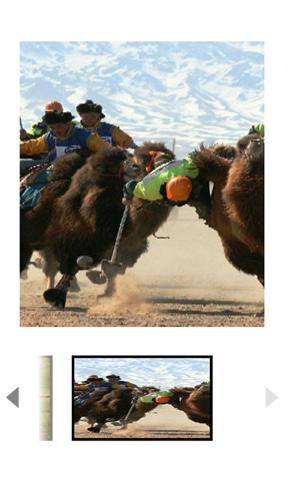 访问蒙古截图4