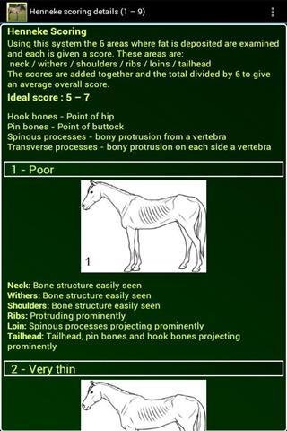 马的体况评分截图1