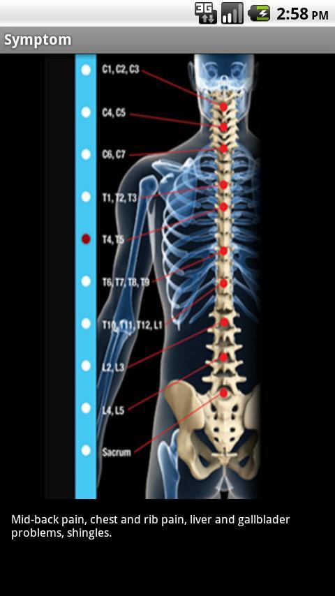 Sheppard Chiropractic截图3