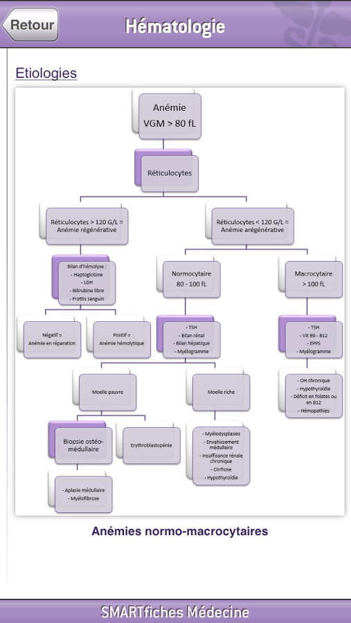 SMARTfiches Hématologie Free截图5