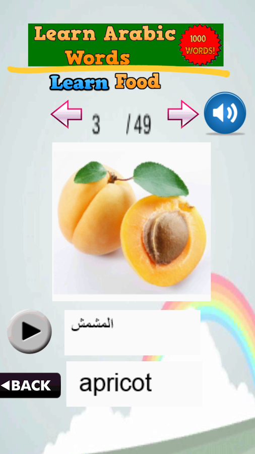 学习阿拉伯语单词截图6