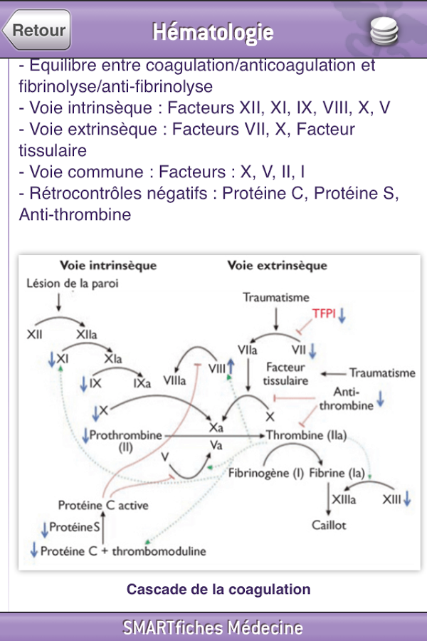 SMARTfiches Hématologie Free截图8