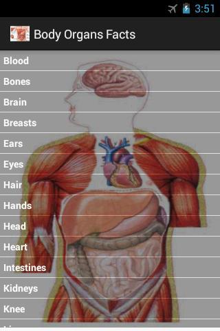 身体器官的事实截图4