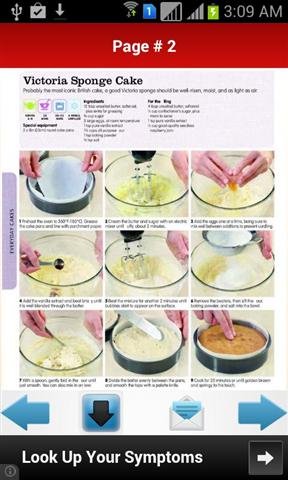 DIY蛋糕和蛋糕食谱 DIY Cakes And Cake Recipes截图4