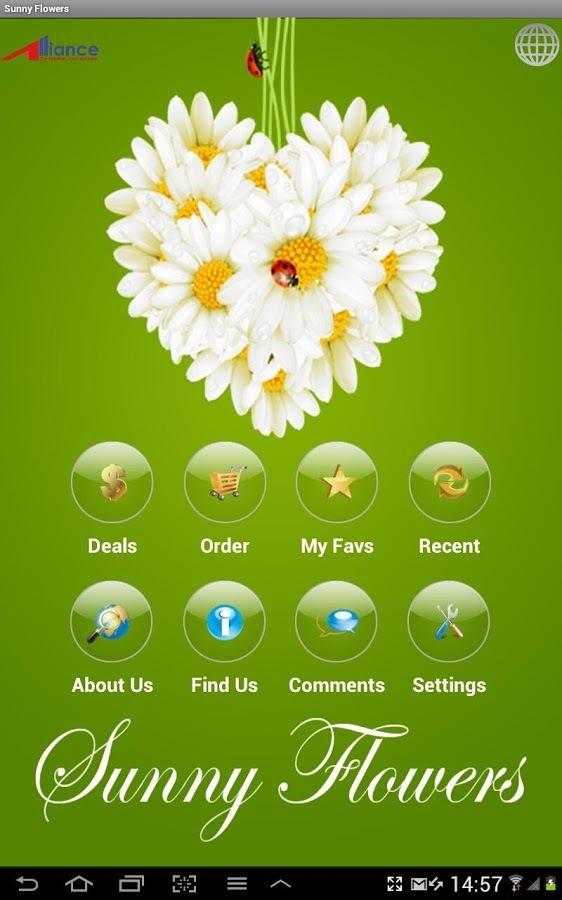 Sunny Flowers截图1