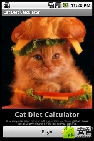猫的饮食计算器截图2