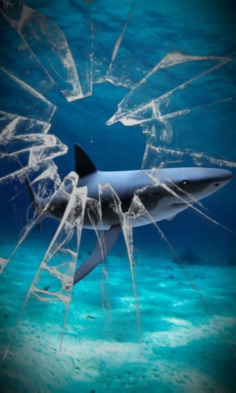 Shark attack lwp Free截图1