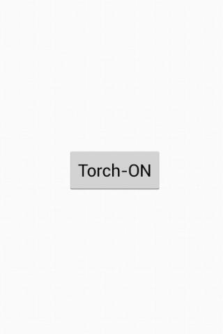 Turn on torch截图1