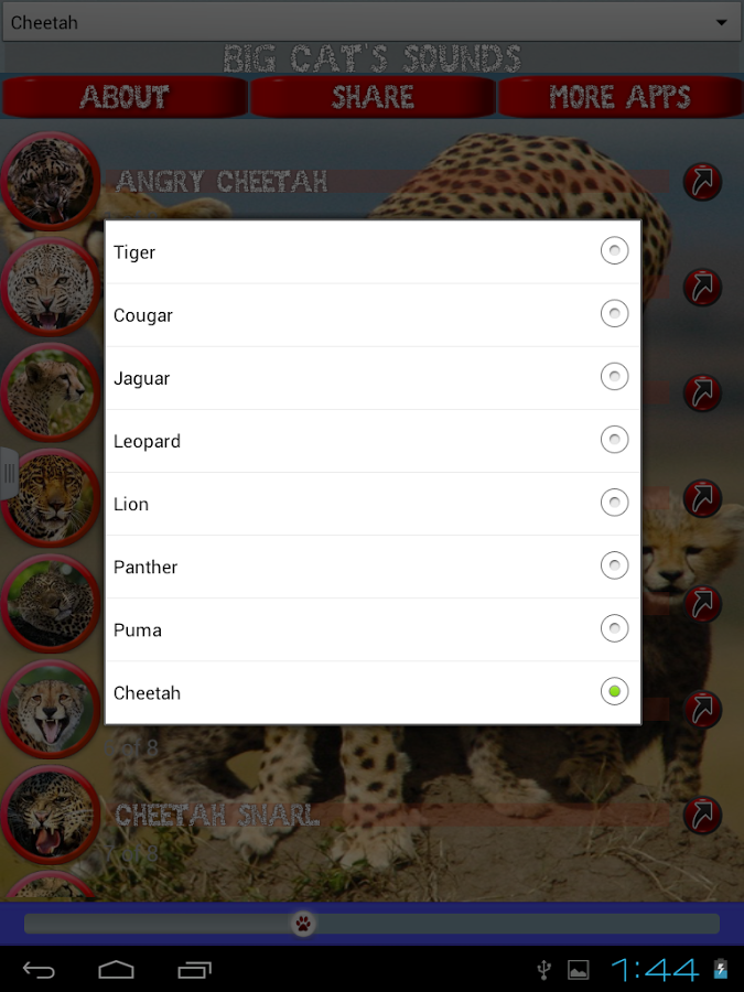 Big Cats Sounds截图2