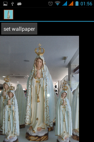 Fátima Altar do Mundo Wallpape截图2