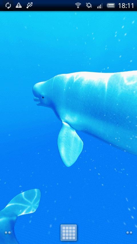 Shoal of Beluga Trial截图2