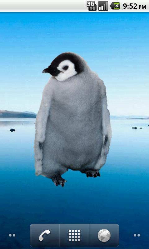 Emperor Penguin Sticker截图6