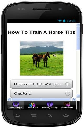 How To Train A Horse Easily截图1