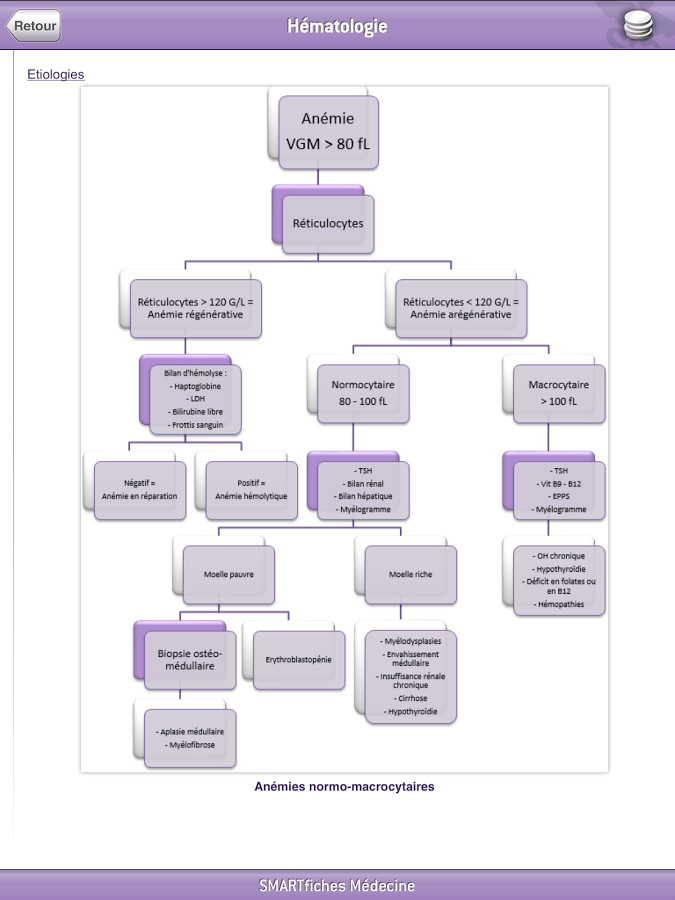 SMARTfiches Hématologie Free截图2