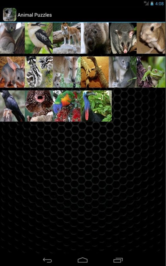 Aussie Animal Puzzles截图11