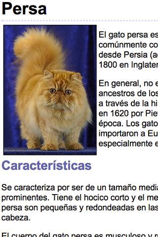 Razas de Gatos截图1