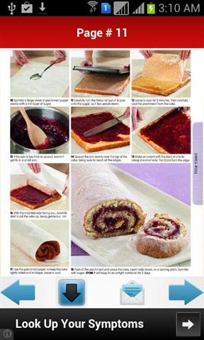 DIY蛋糕和蛋糕食谱 DIY Cakes And Cake Recipes截图1