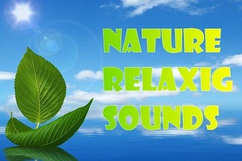 自然放松的声音截图5