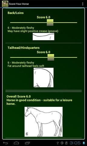 马的体况评分截图2