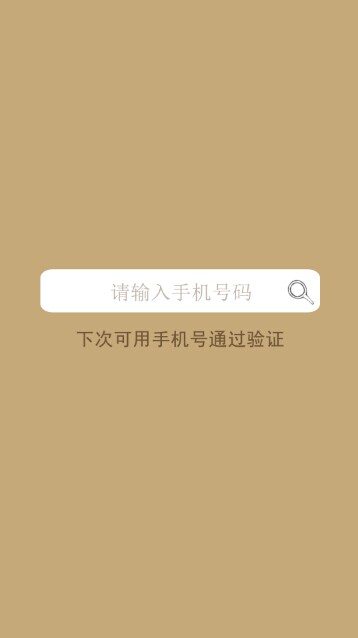 皮套窗体程序截图6