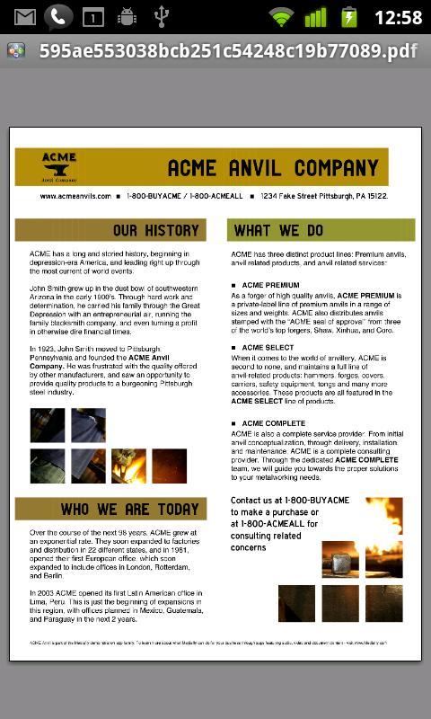 ACME Anvil截图4