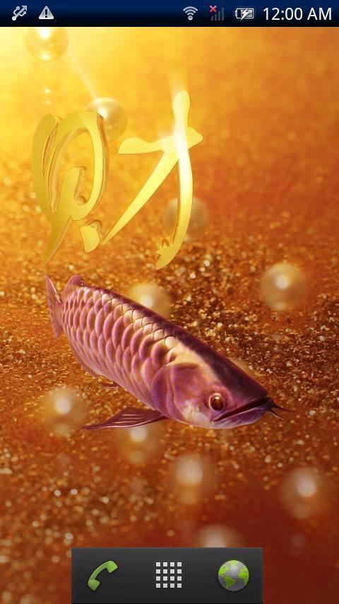 Arowana Fortune Trial截图2