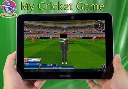 My Cricket Game截图2