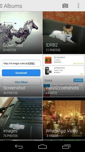 Imgur Album Downloader截图3