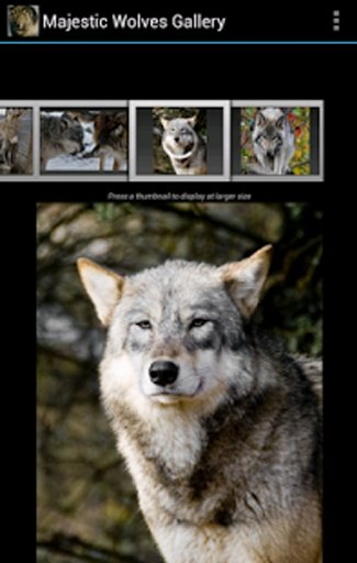 Majestic Wolves Gallery截图6