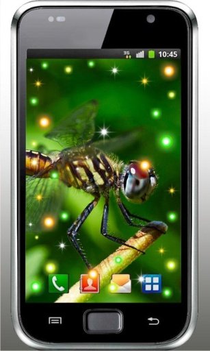 Dragonfly Summer HD LWP截图4