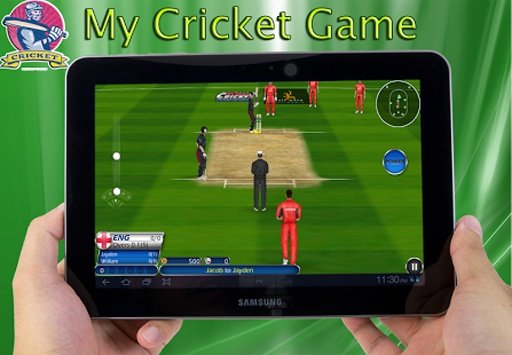 My Cricket Game截图4