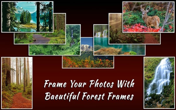 Forest Frames for Photos截图1