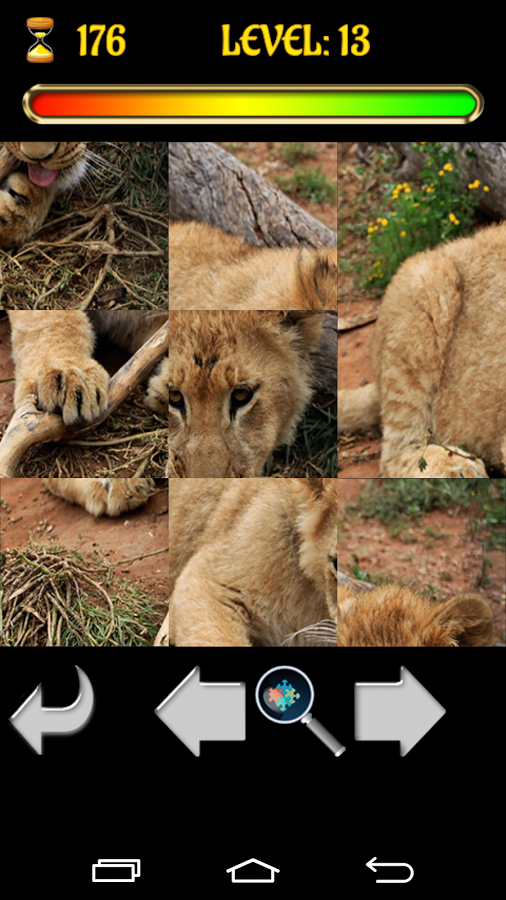 Big Cats Puzzles – Free Jigsaw截图1