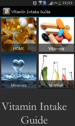 Vitamin Intake Guide截图8