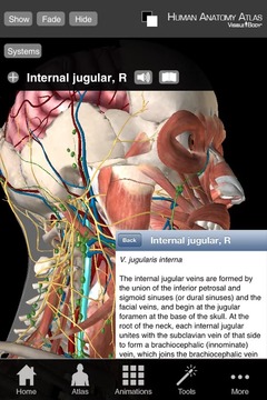 Human Anatomy Atlas (Org...截图