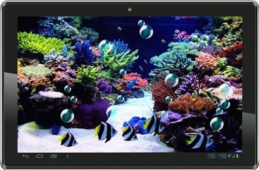 Coral Reef Photo Fishing LWP截图1