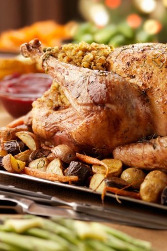 Turkey Recipes截图4