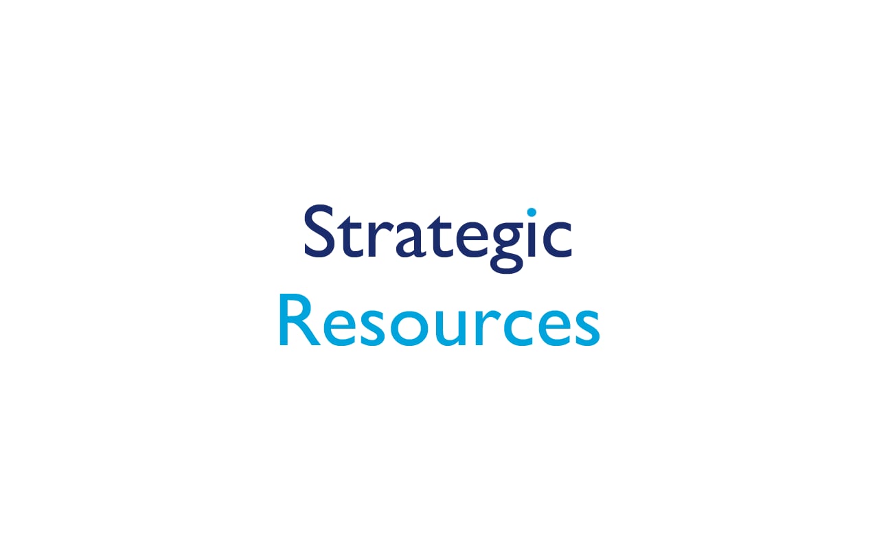 Strategic Resources截图2