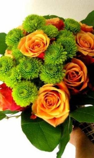 Flower Arrangement Classes截图2