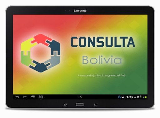 Consulta Bolivia截图6