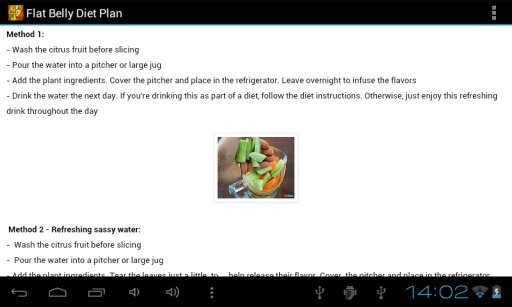 Flat Belly Diet Plan截图2