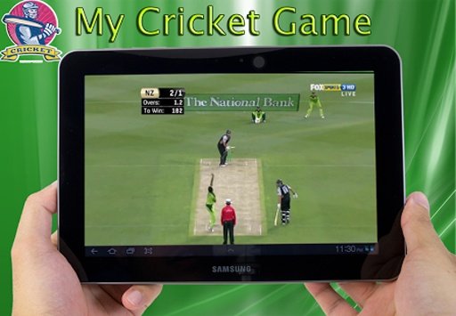 My Cricket Game截图7