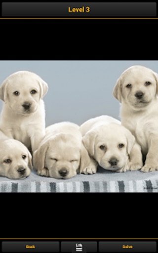 Dogs - Puzzle Game截图4