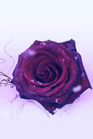 3D玫瑰动态壁紙截图5