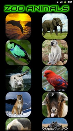 Zoo Animal Sounds截图5