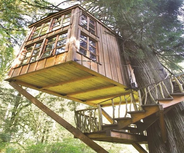 DIY Tree House Ideas截图6