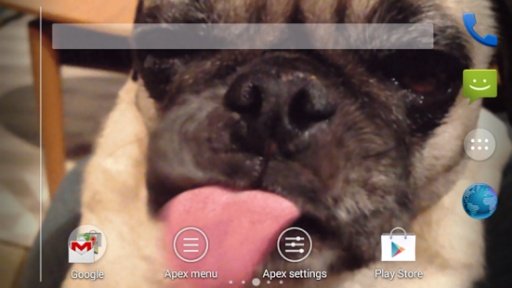 Dog Licks截图3